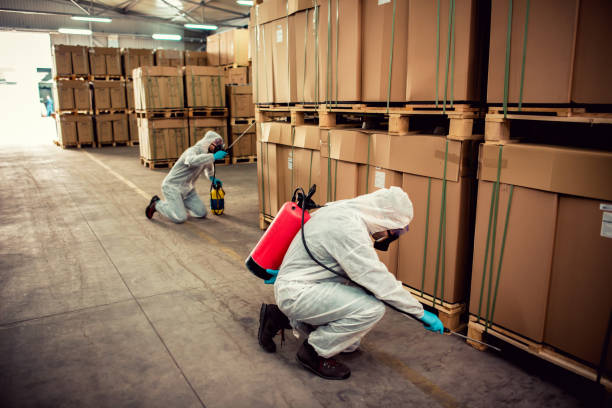 Best Pest Control Cost  in Maury, NC