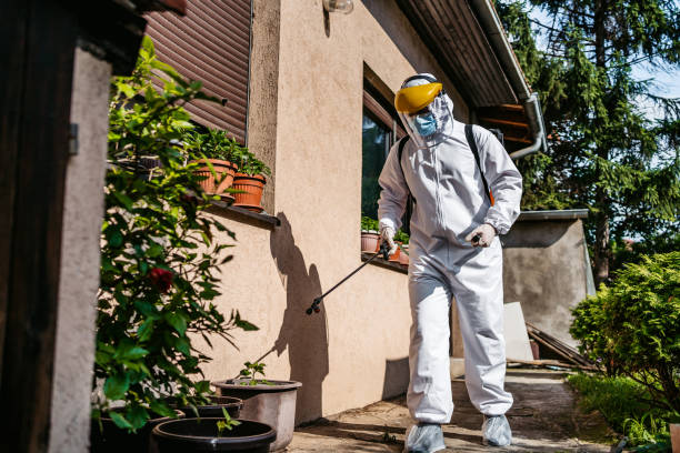 Best Best Pest Control Companies  in Maury, NC
