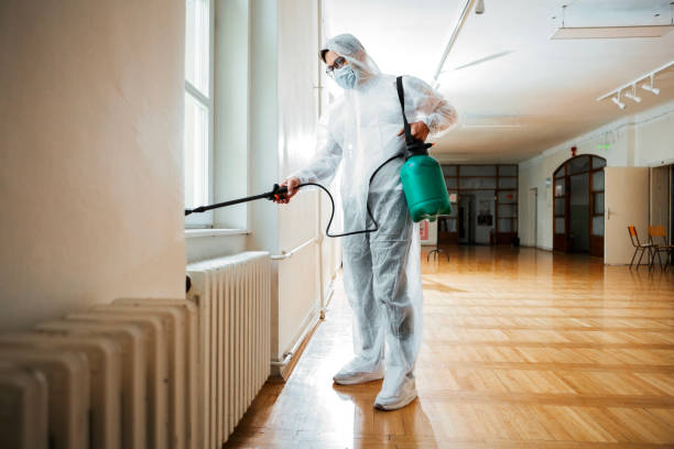 Reliable Maury, NC Pest Control Solutions